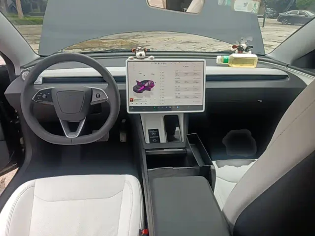 Tesla Model 3 — Фото автомобиля 9