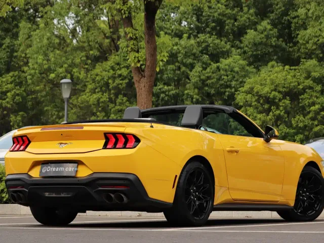 Ford Mustang — Фото автомобиля 4