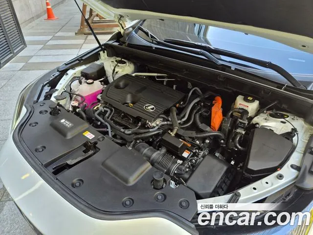 Lexus NX — Фото автомобиля 6