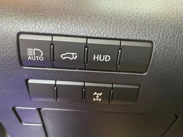 Lexus RX — Фото автомобиля 14