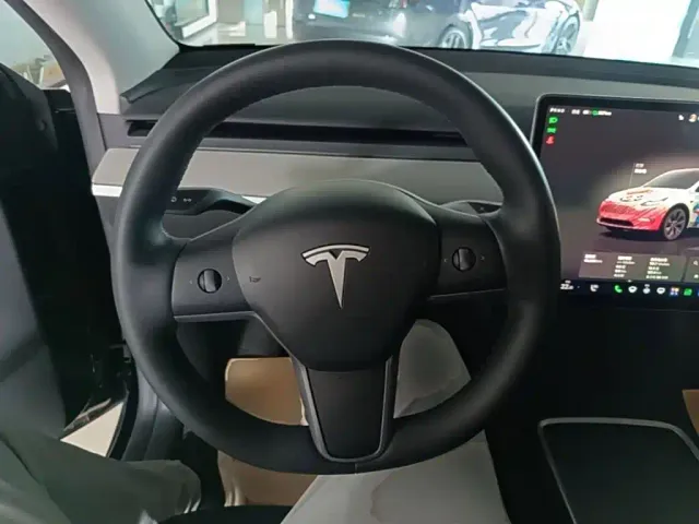 Tesla Model Y — Фото автомобиля 10