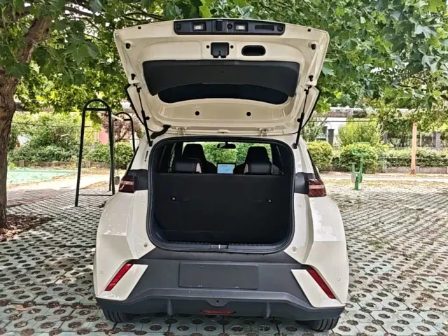 BYD Seagull — Фото автомобиля 18