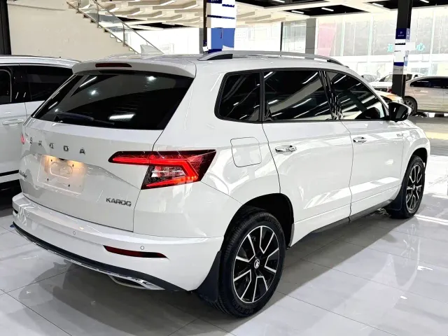 Skoda Karoq — Фото автомобиля 13