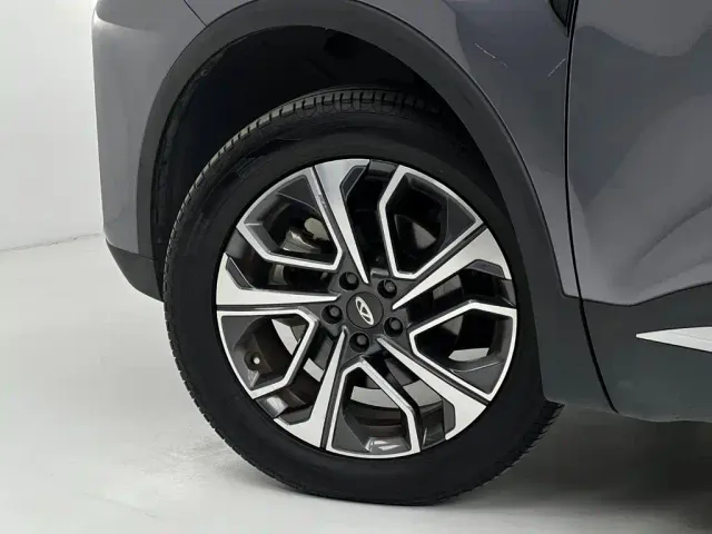 Chery Tiggo 7 PLUS — Фото автомобиля 19