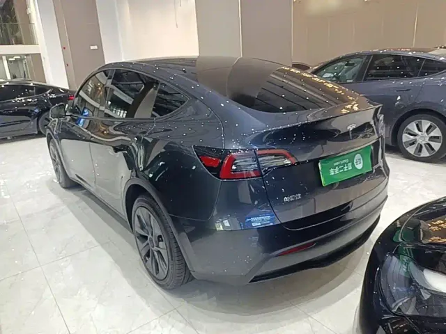 Tesla Model Y — Фото автомобиля 4