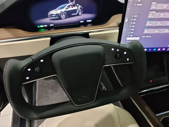 Tesla Model X — Фото автомобиля 10
