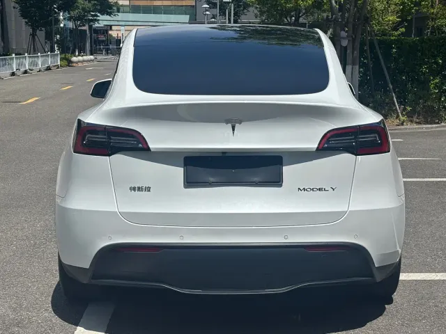 Tesla Model Y — Фото автомобиля 18