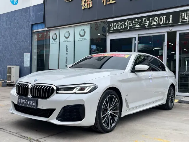 BMW 5 Series — Фото автомобиля 2