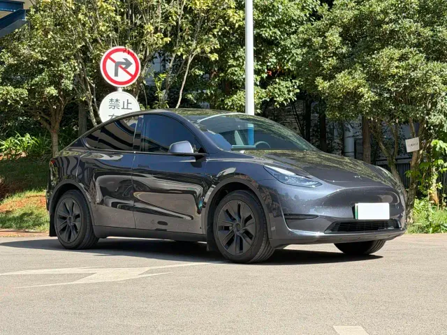Tesla Model Y — Фото автомобиля 2
