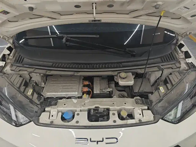 BYD Seagull 2023 Freedom Edition — Фото автомобиля 10