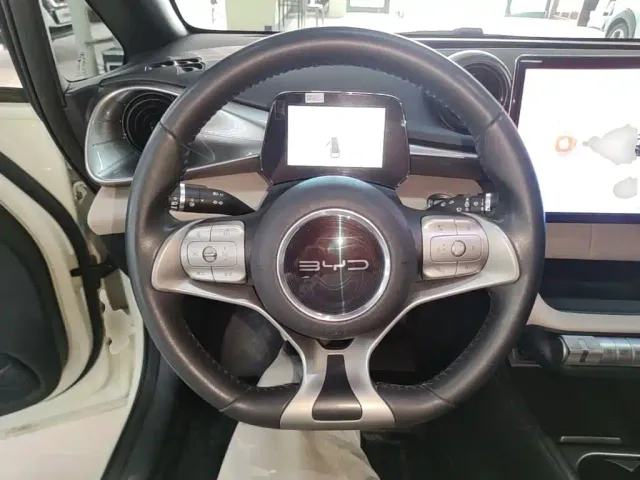 BYD Dolphin — Фото автомобиля 10