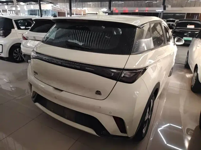 BYD Dolphin — Фото автомобиля 6