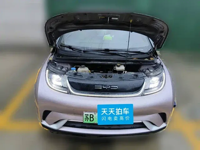 BYD Dolphin — Фото автомобиля 3