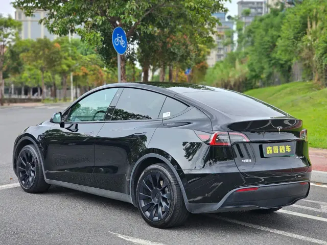 Tesla Model Y — Фото автомобиля 6