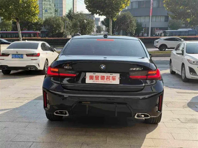 BMW 3 Series — Фото автомобиля 8