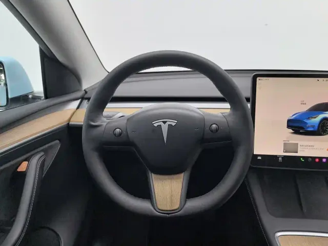 Tesla Model Y — Фото автомобиля 11