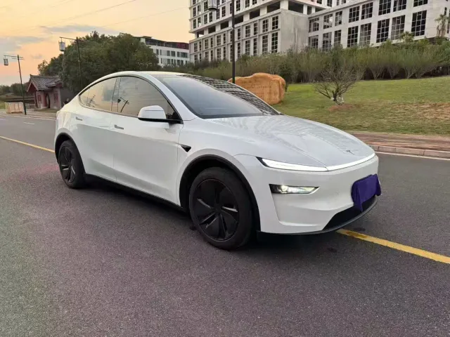Tesla Model Y — Фото автомобиля 3