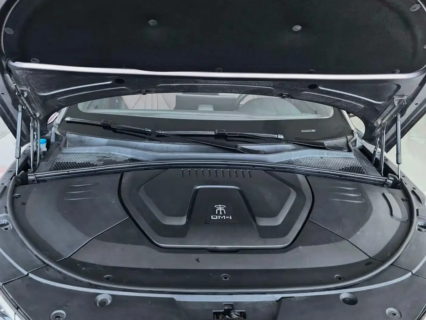 BYD Song PLUS PHEV 2021 DM-i 100KM AWD Flagship PLUS — Фото автомобиля 2