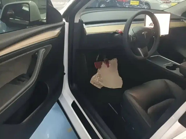 Tesla Model Y — Фото автомобиля 15
