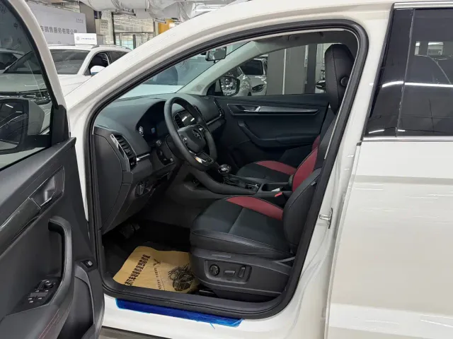 Skoda Karoq — Фото автомобиля 11