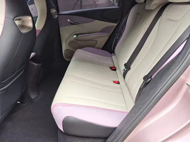 BYD Dolphin — Фото автомобиля 5