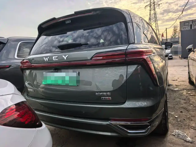 Wey Lanshan — Фото автомобиля 11