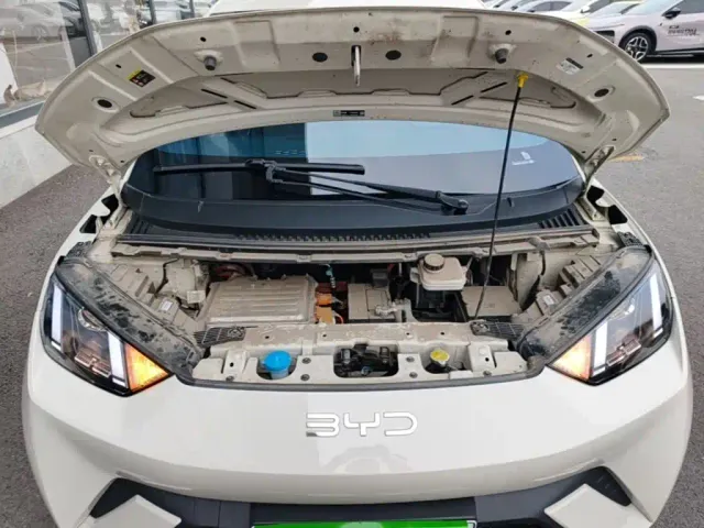 BYD Seagull — Фото автомобиля 19