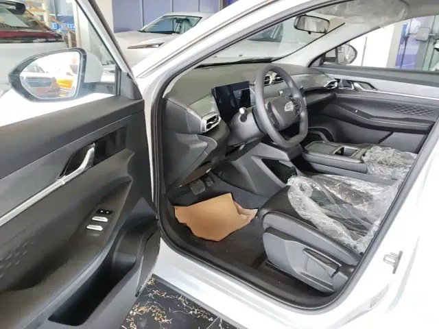 Dongfeng SKY EV01 — Фото автомобиля 15