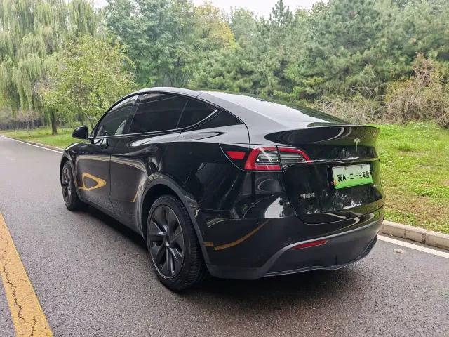 Tesla Model Y — Фото автомобиля 10