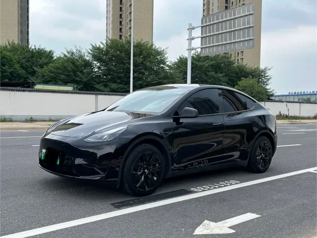 Tesla Model Y — Фото автомобиля 2