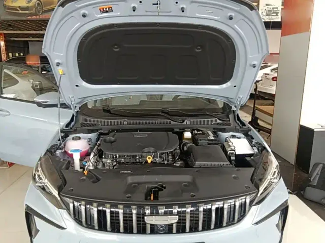 Geely Binrui — Фото автомобиля 19