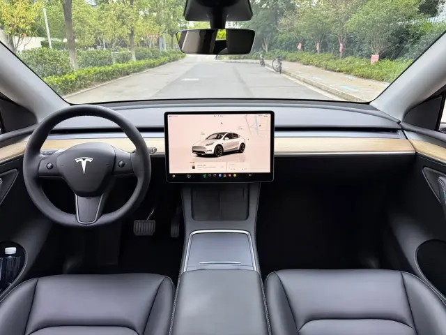 Tesla Model Y — Фото автомобиля 11