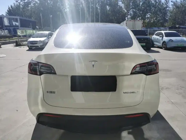 Tesla Model Y — Фото автомобиля 5