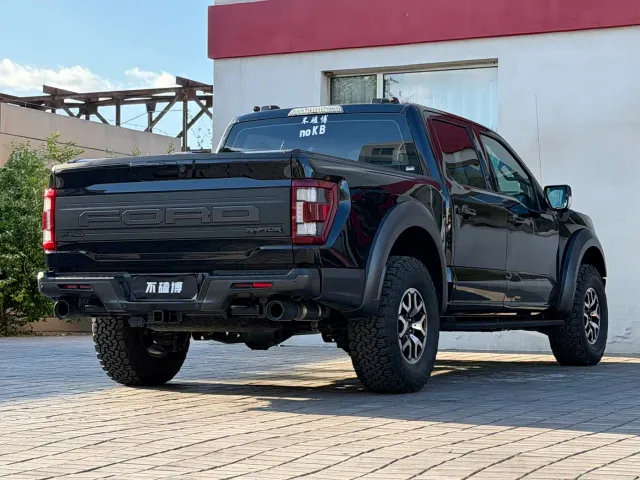Ford F-150 Raptor — Фото автомобиля 3