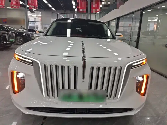 Hongqi E-HS9 — Фото автомобиля 2