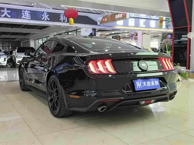 Ford Mustang — Фото автомобиля 14