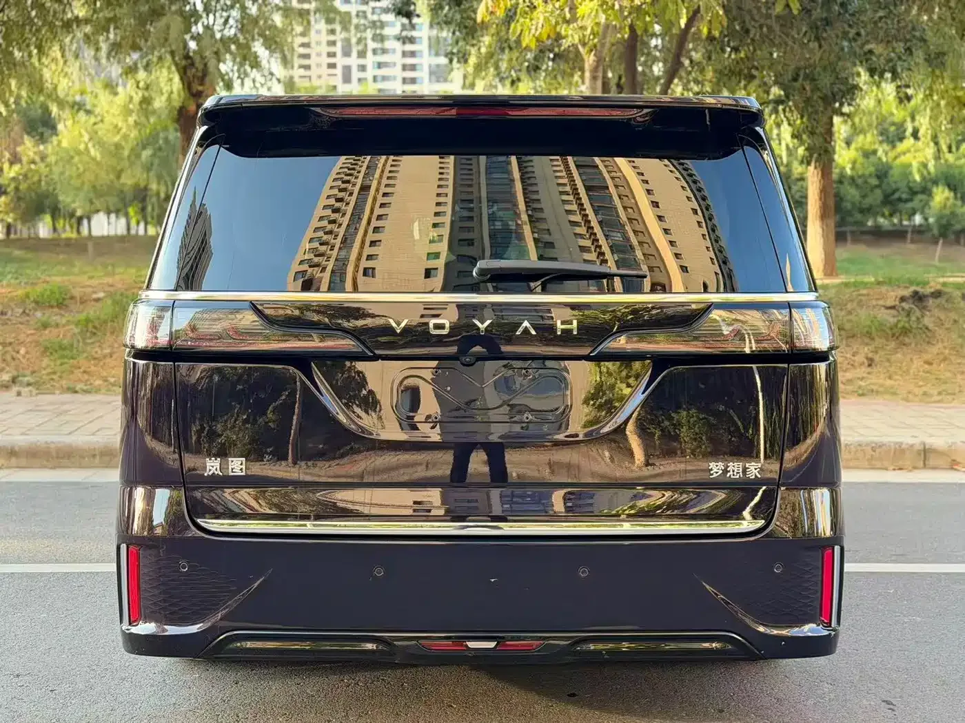 Voyah Auto Voyah Dreamer 2024 PHEV Extended Range Flagship Edition — Фото автомобиля 8
