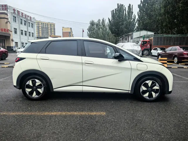 BYD Dolphin — Фото автомобиля 8