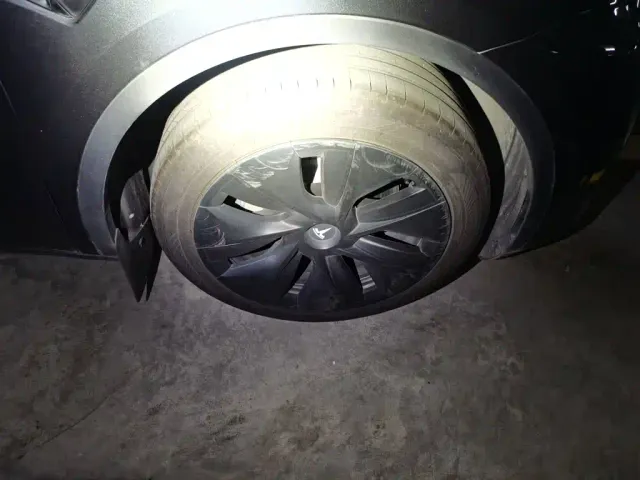 Tesla Model Y — Фото автомобиля 25