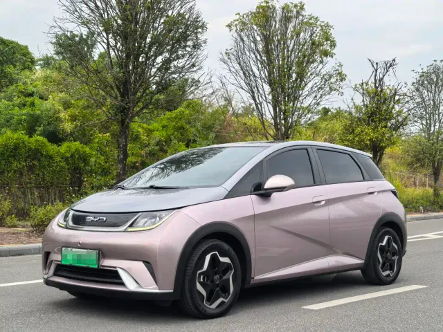 Фотография автомобиля — BYD Dolphin