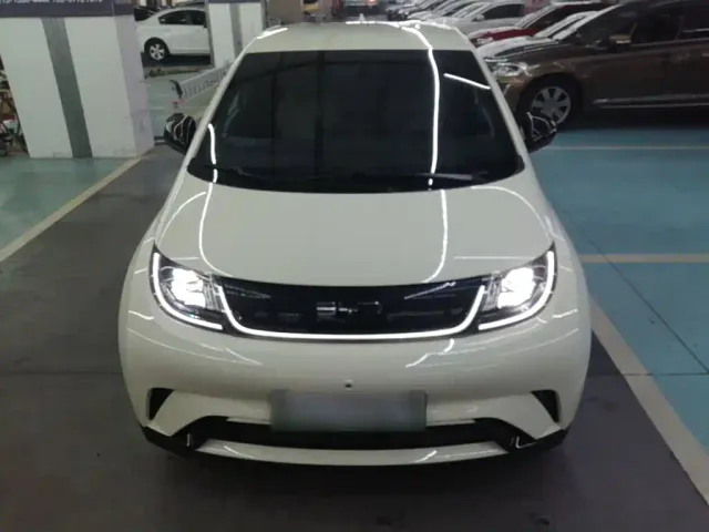 BYD Dolphin — Фото автомобиля 2