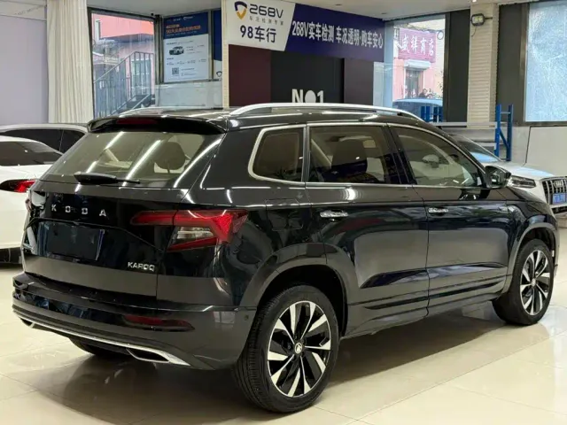 Skoda Karoq — Фото автомобиля 4