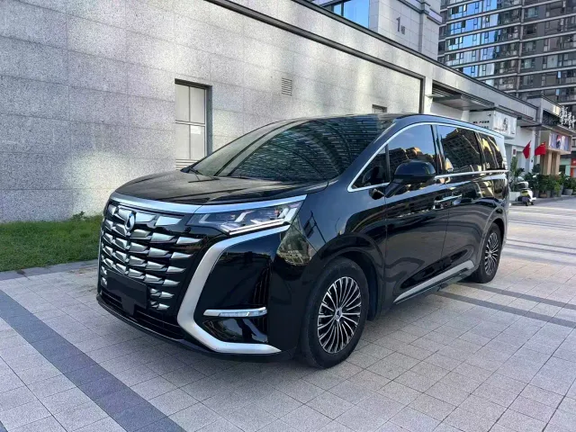 Фотография автомобиля — Denza D9