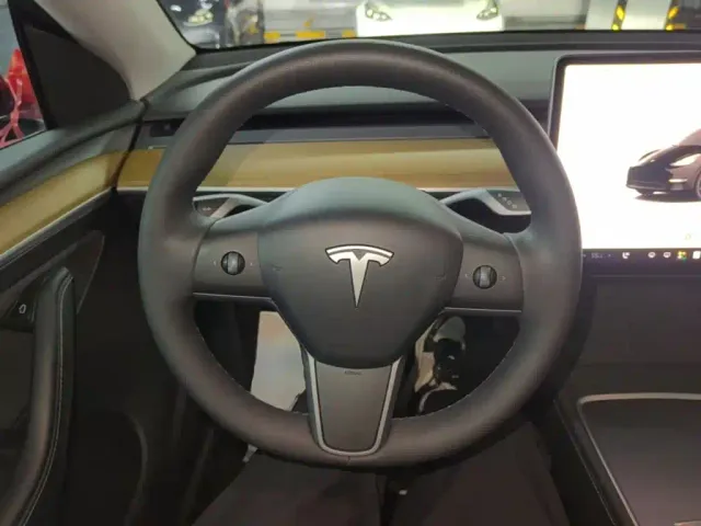 Tesla Model Y — Фото автомобиля 10