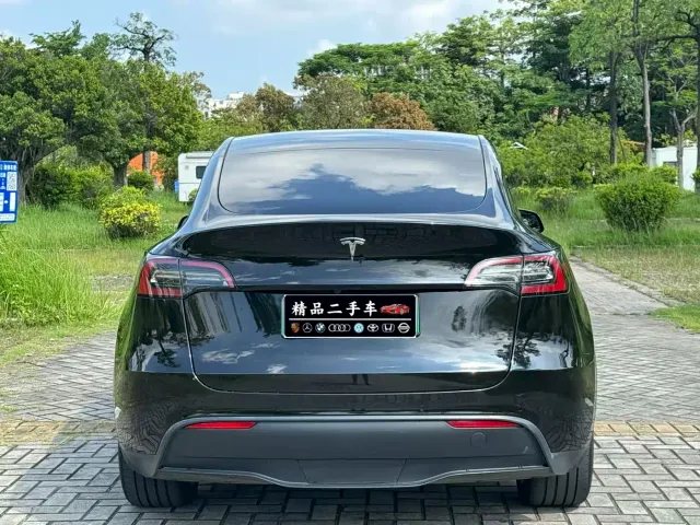 Tesla Model Y — Фото автомобиля 4