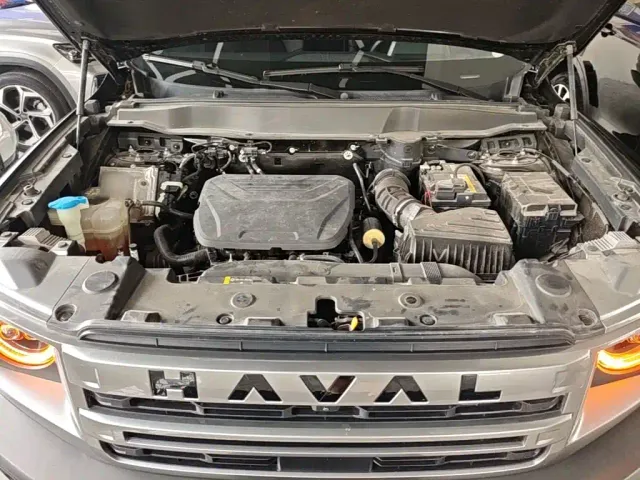 Haval Big Dog — Фото автомобиля 15