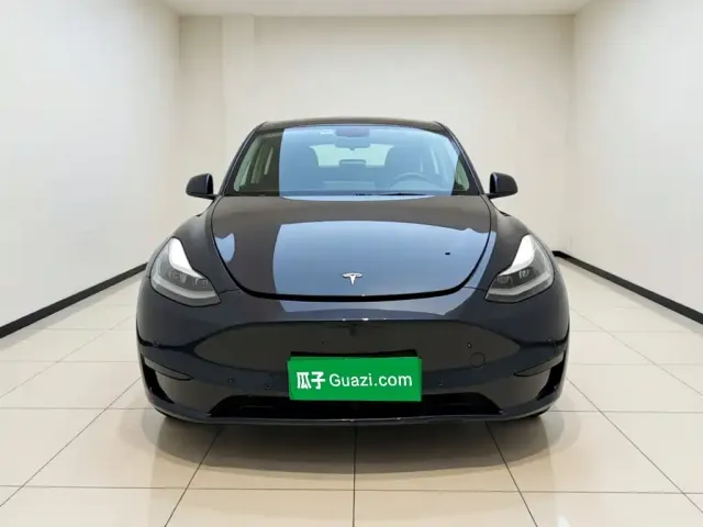 Tesla Model Y — Фото автомобиля 2