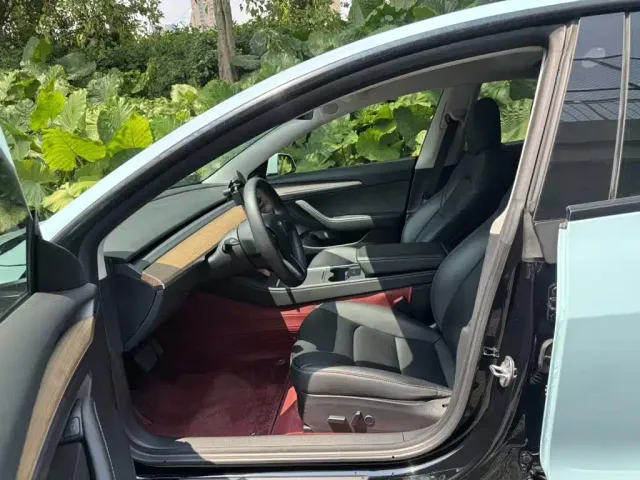 Tesla Model 3 — Фото автомобиля 14