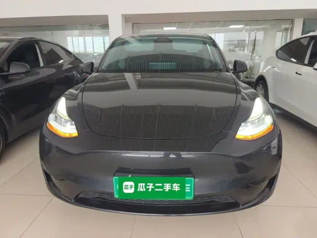 Tesla Model Y — Фото автомобиля 2