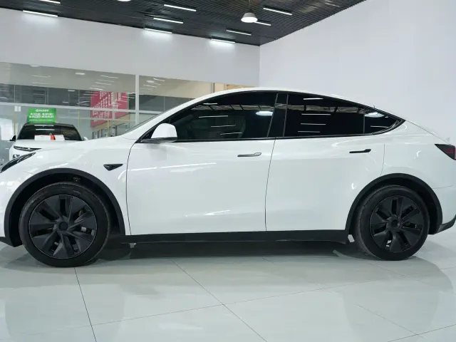 Tesla Model Y — Фото автомобиля 2